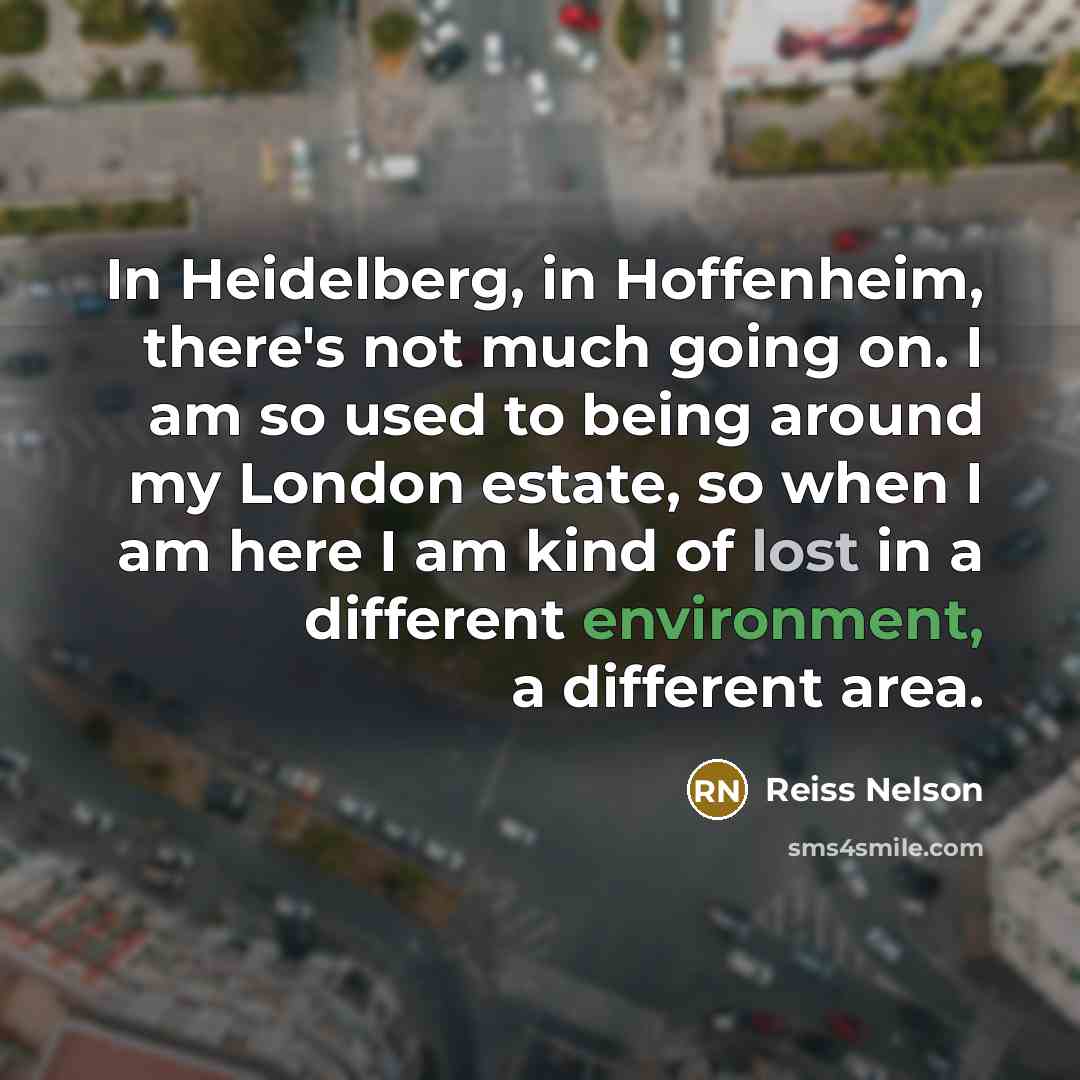 “In Heidelberg, in Hoffenheim, there's not much going on. I…” quote by Reiss Nelson