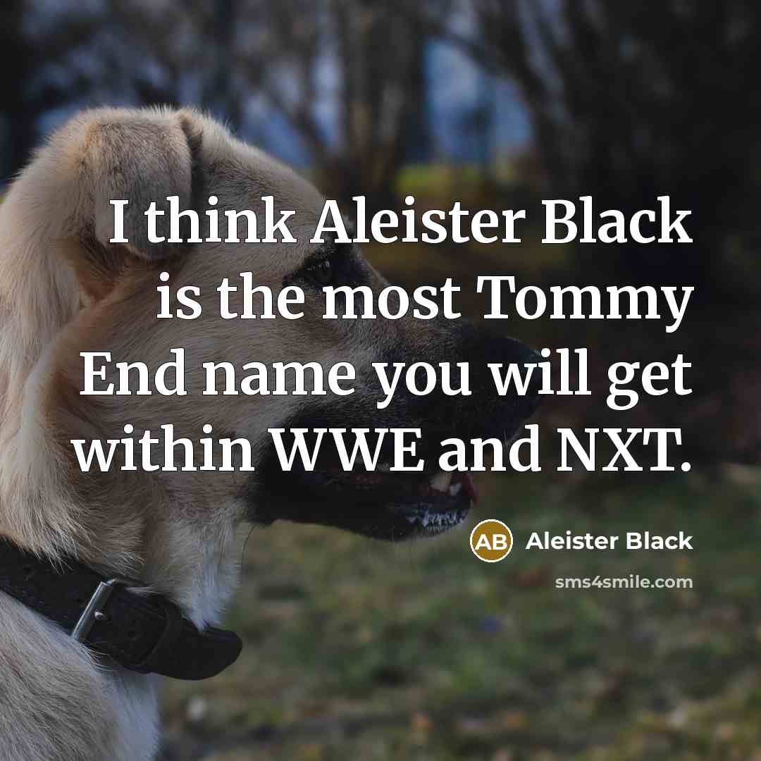 “I think Aleister Black is the most Tommy End name…” quote by Aleister Black