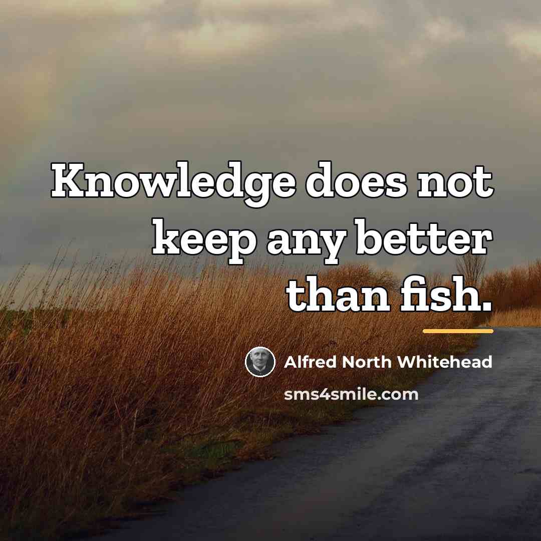 “Knowledge does not keep any better than fish.…” quote by Alfred North Whitehead
