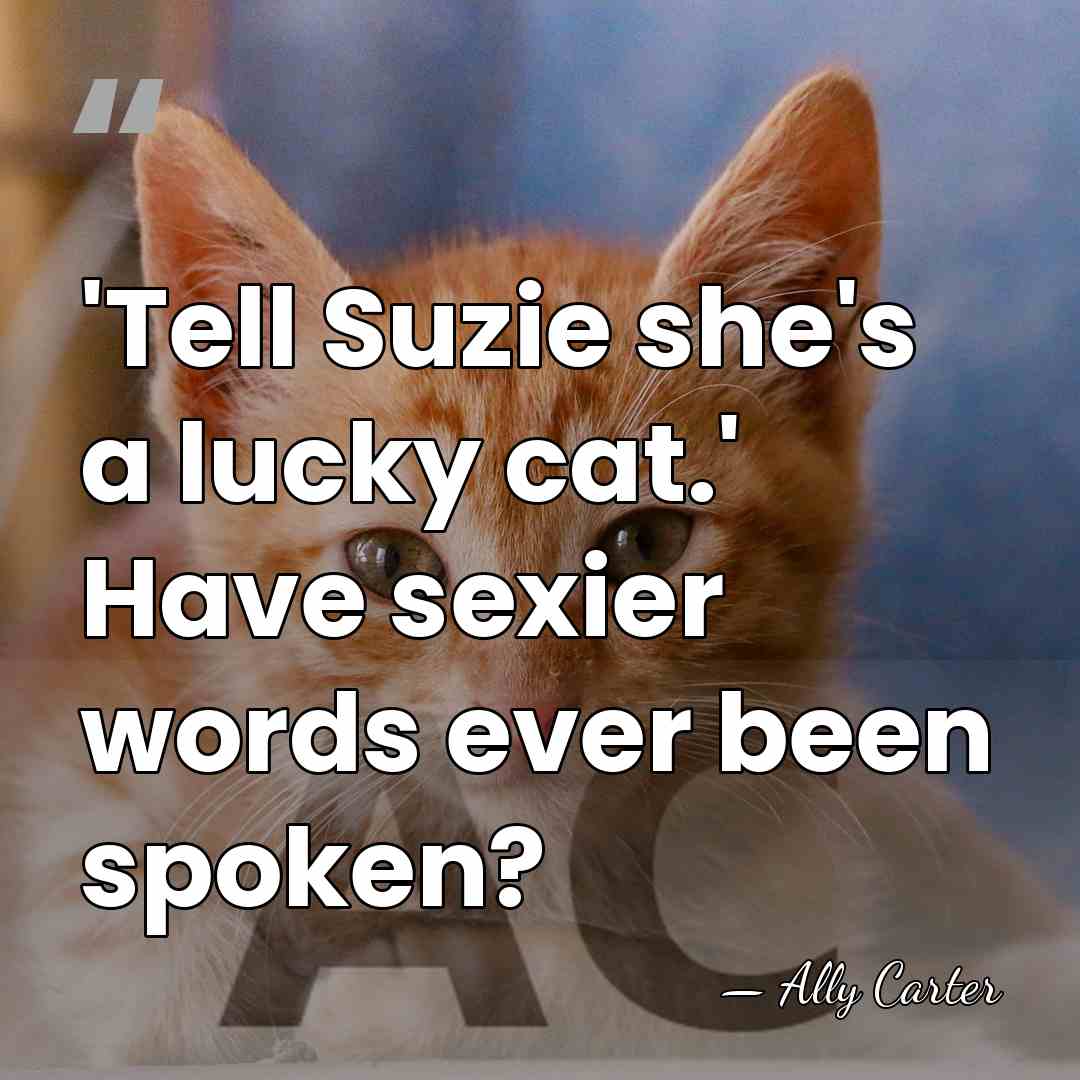 'Tell Suzie she's a lucky cat.' Have sexier words ever been spoken? - Ally Carter