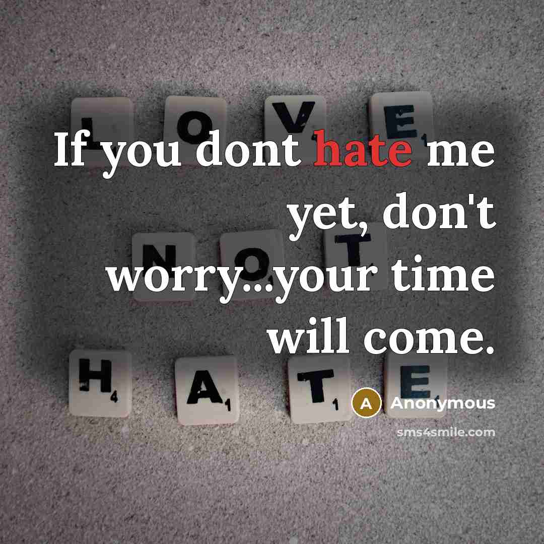 “If you dont hate me yet, don't worry...your time will come.” quote by Anonymous