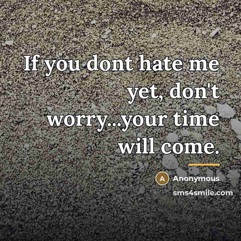 “If you dont hate me yet, don't worry...your time will…” quote by Anonymous