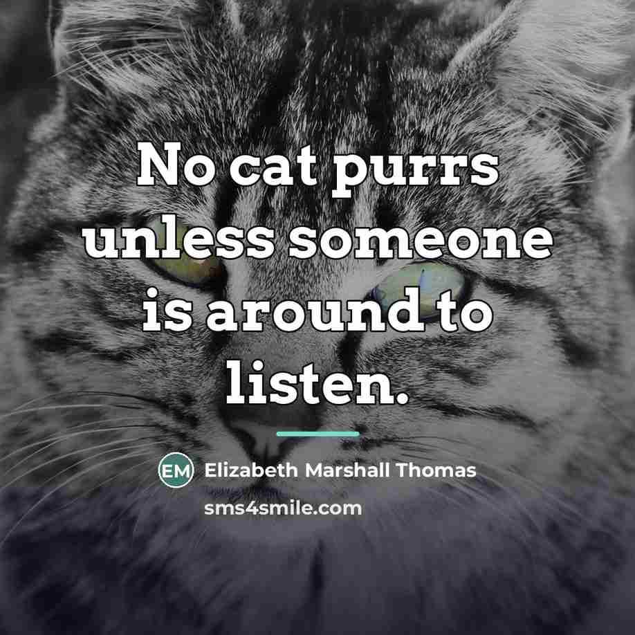 “No cat purrs unless someone is around to listen.…” quote by Elizabeth Marshall Thomas