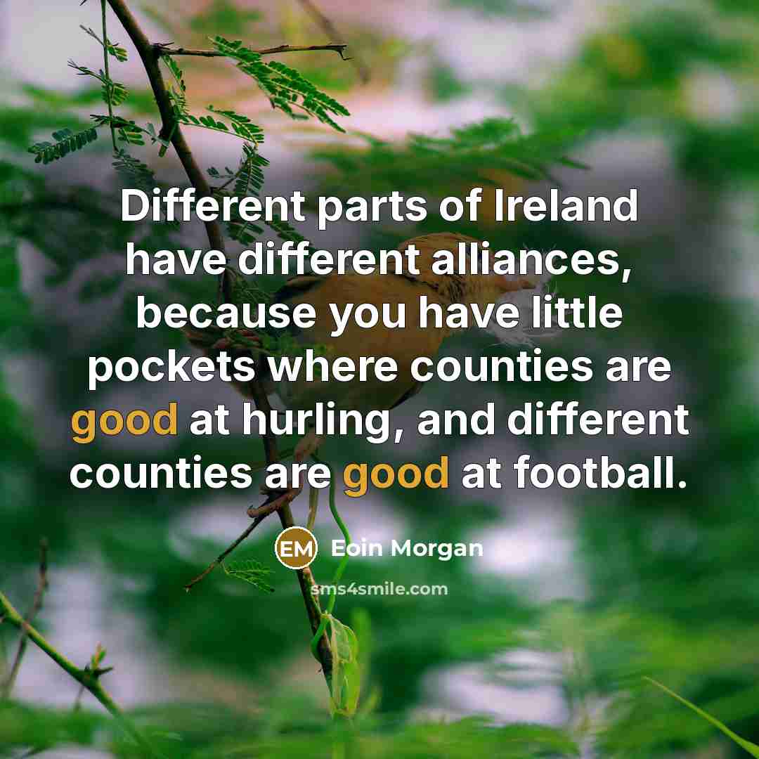 “Different parts of Ireland have different alliances, because you have…” quote by Eoin Morgan