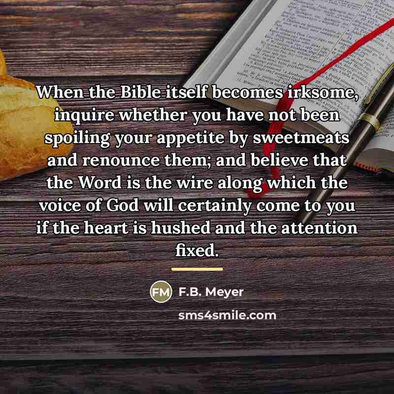 “When the Bible itself becomes irksome, inquire whether you have…” quote by F.B. Meyer