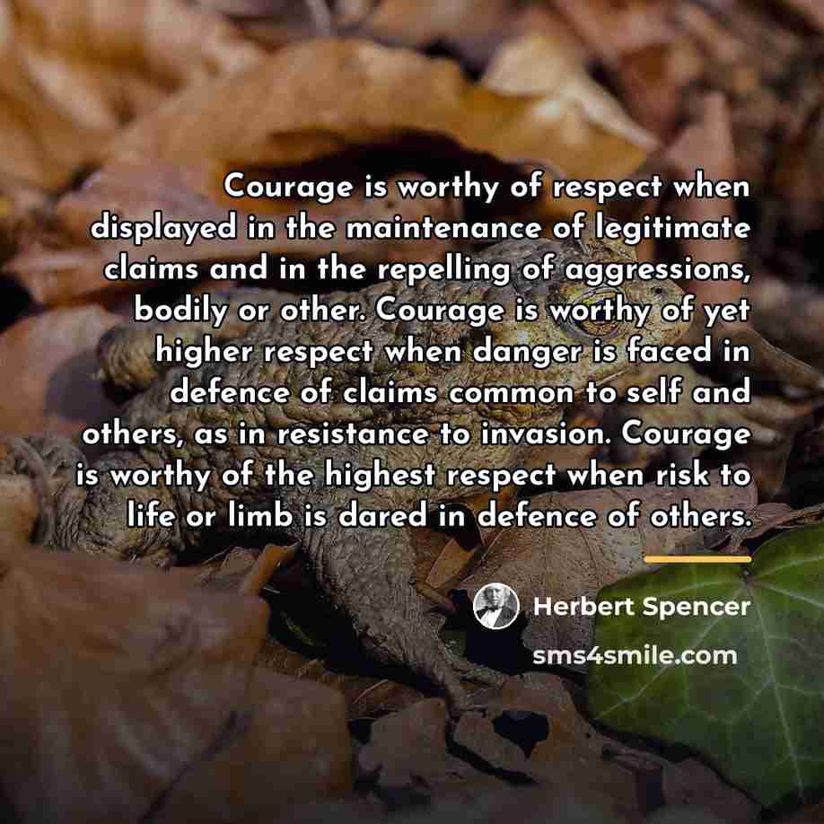“Courage is worthy of respect when displayed in the maintenance…” quote by Herbert Spencer
