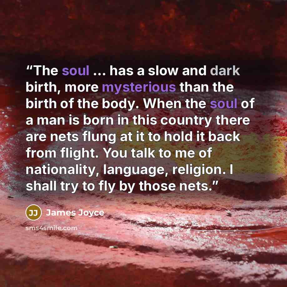 “The soul ... has a slow and dark birth, more mysterious than the birth of the body. When the soul of a man is born in this country there are nets flung at it to hold it back from flight. You talk to me of nationality, language, religion. I shall try to fly by those nets.” quote by James Joyce