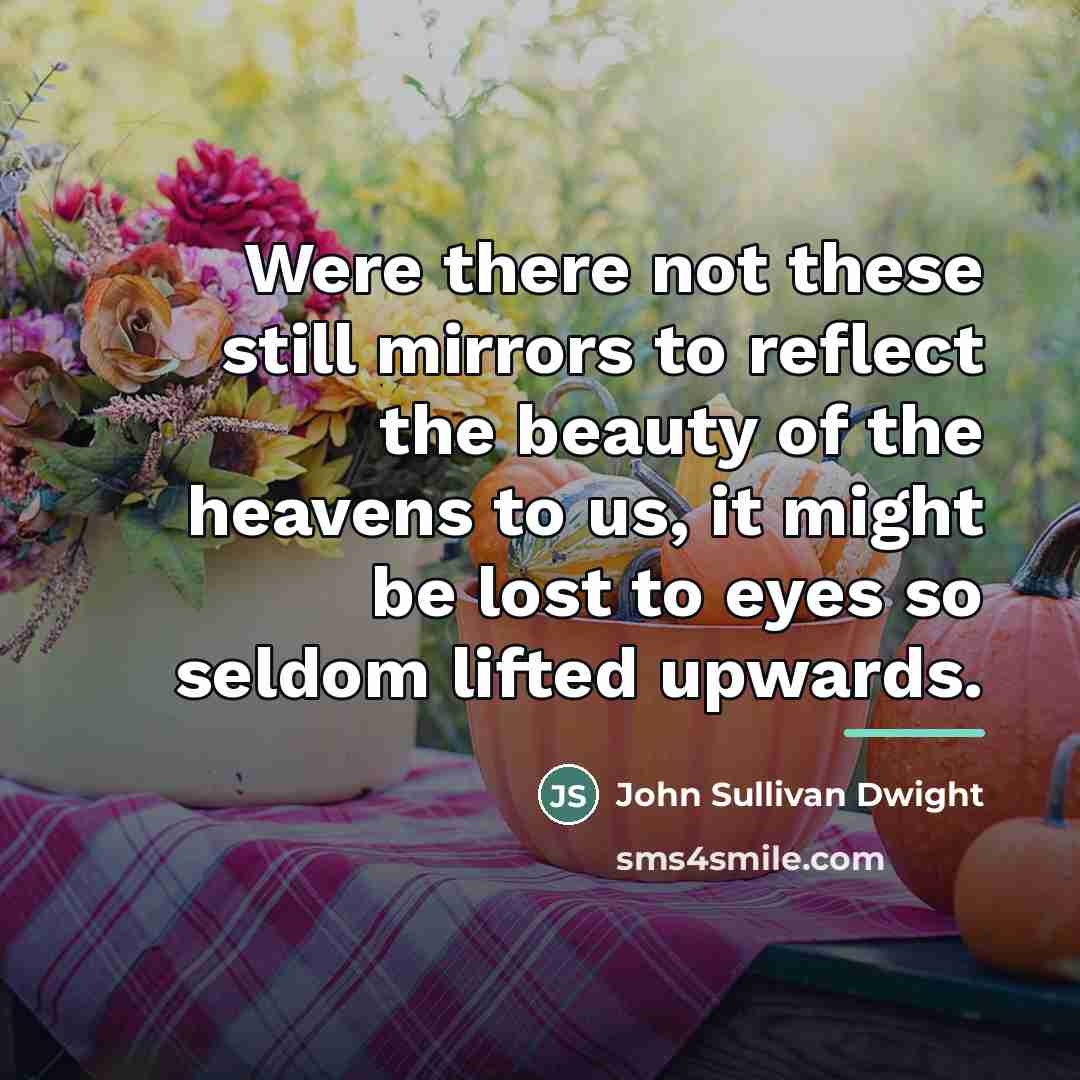“Were there not these still mirrors to reflect the beauty…” quote by John Sullivan Dwight