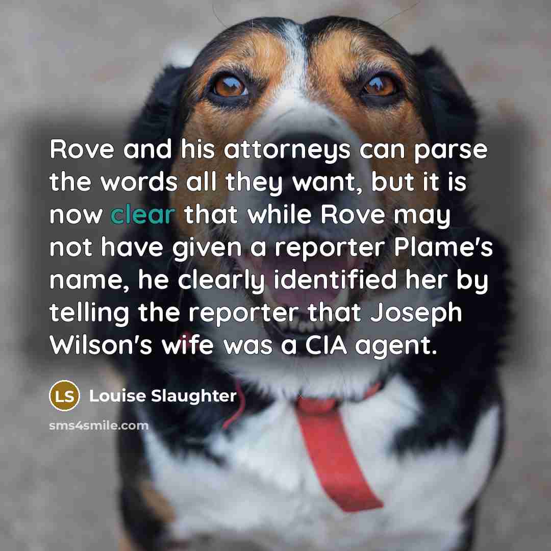 “Rove and his attorneys can parse the words all they…” quote by Louise Slaughter