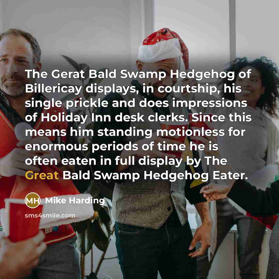 “The Gerat Bald Swamp Hedgehog of Billericay displays, in courtship,…” quote by Mike Harding