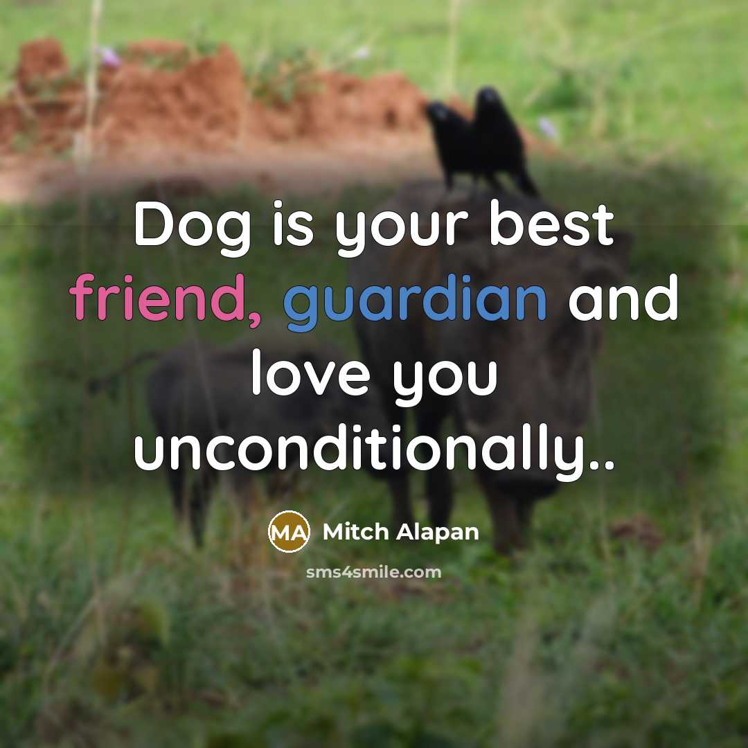 “Dog is your best friend, guardian and love you unconditionally..…” quote by Mitch Alapan
