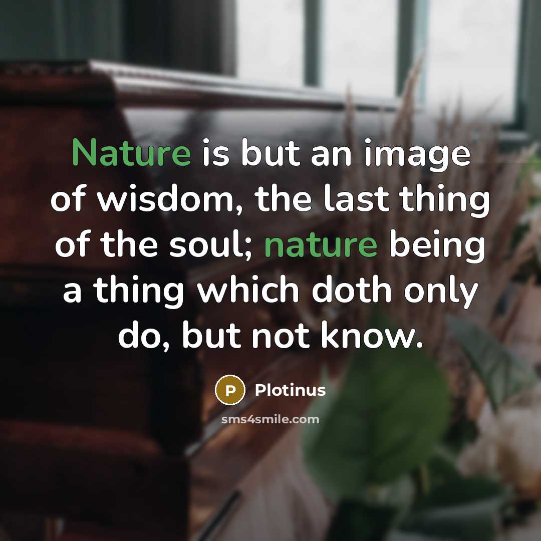 “Nature is but an image of wisdom, the last thing…” quote by Plotinus