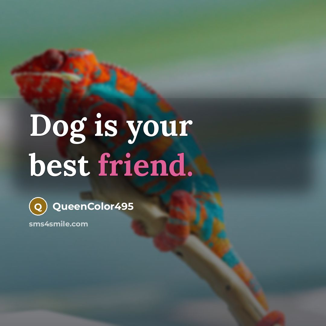 “Dog is your best friend.” quote by QueenColor495