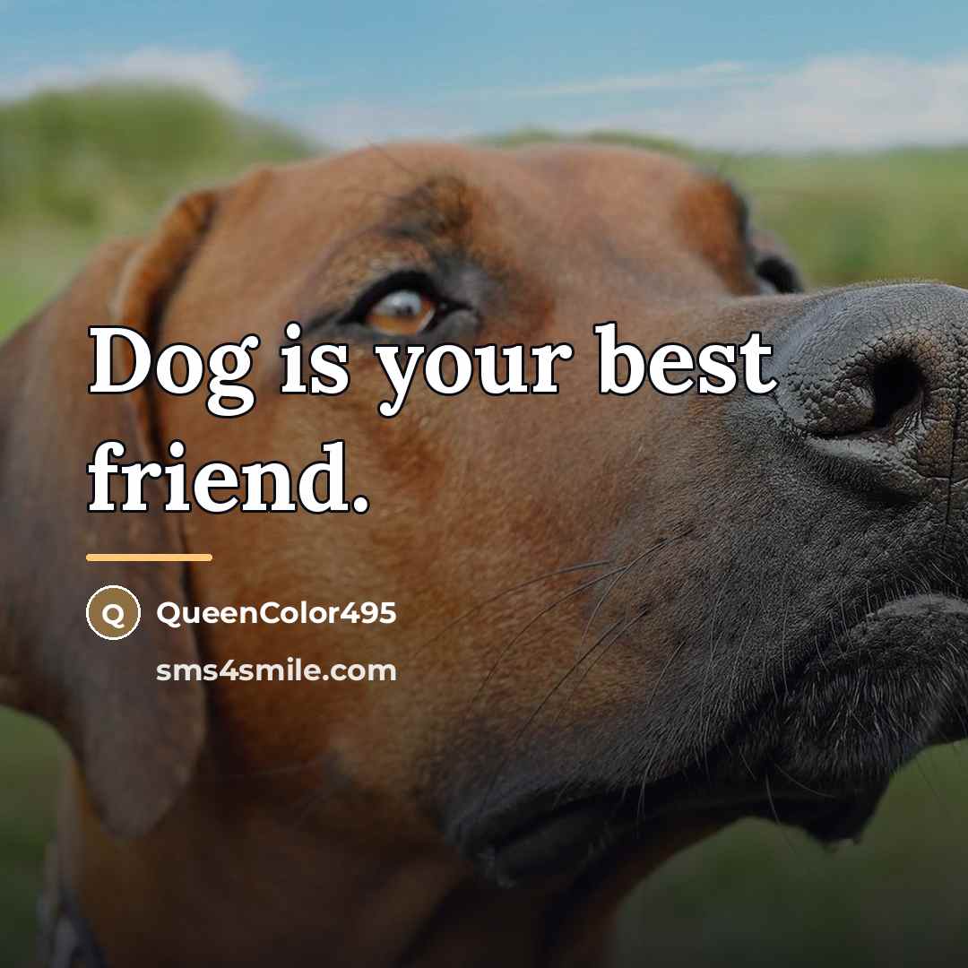 “Dog is your best friend.…” quote by QueenColor495