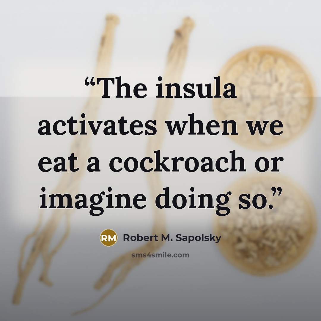 “The insula activates when we eat a cockroach or imagine doing so.” quote by Robert M. Sapolsky