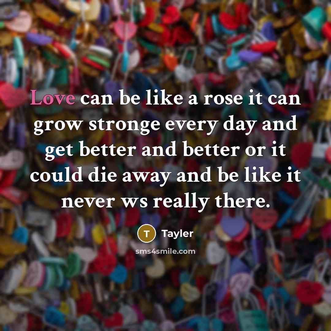 “Love can be like a rose it can grow stronge every day and get better and better or it could die away and be like it never ws really there.” quote by Tayler
