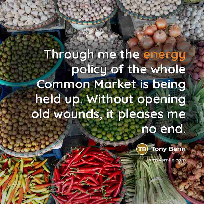 “Through me the energy policy of the whole Common Market…” quote by Tony Benn