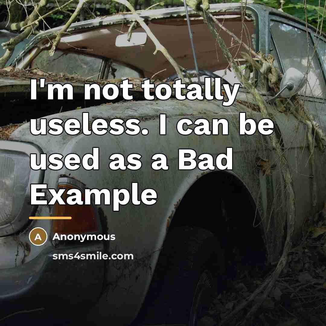 “I'm not totally useless. I can be used as a…” quote by Anonymous