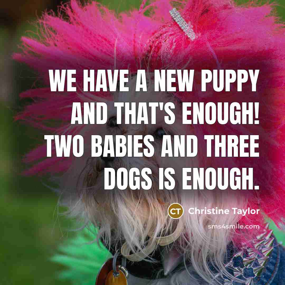 “We have a new puppy and that's enough! Two babies…” quote by Christine Taylor