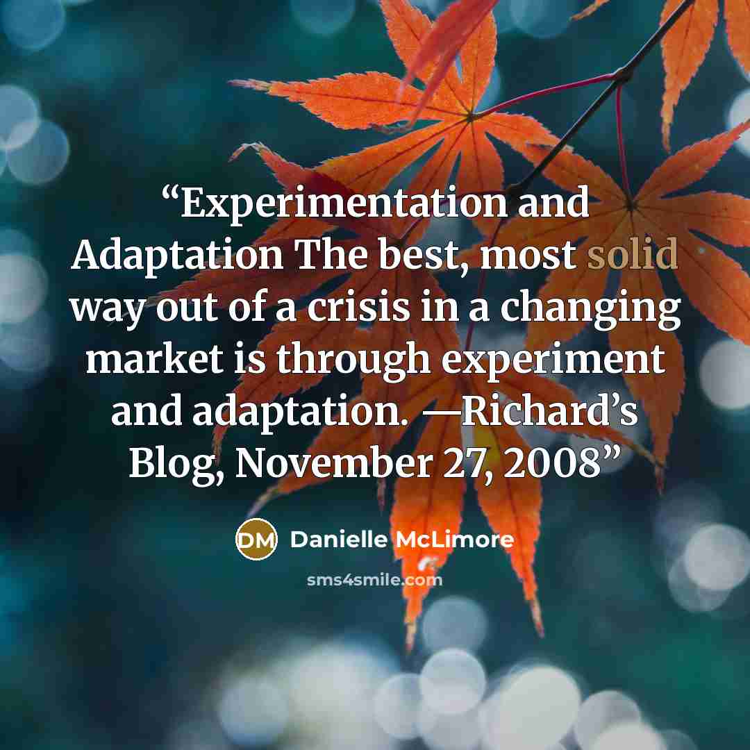“Experimentation and Adaptation The best, most solid way out of a crisis in a changing market is through experiment and adaptation. —Richard’s Blog, November 27, 2008” quote by Danielle McLimore