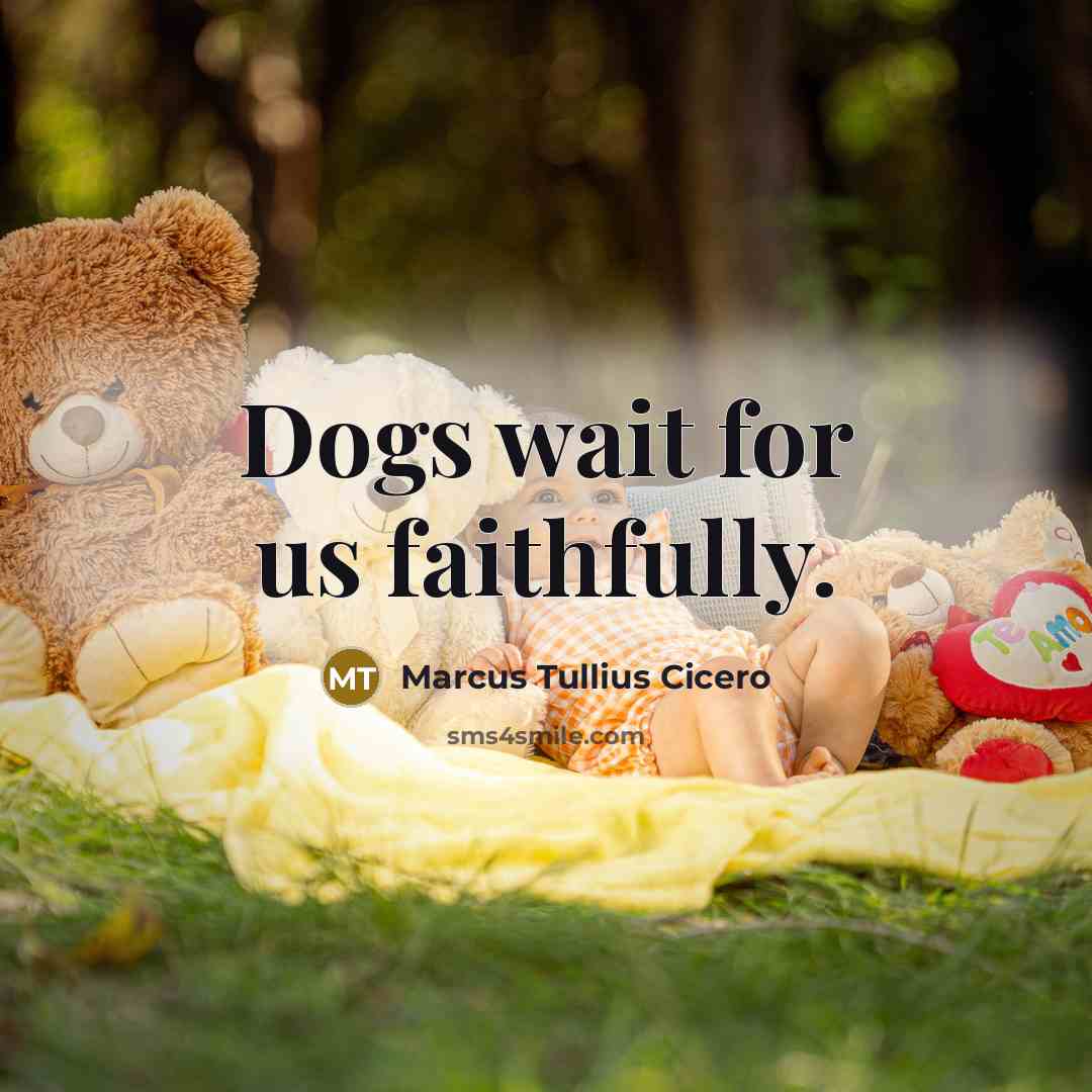 “Dogs wait for us faithfully.…” quote by Marcus Tullius Cicero