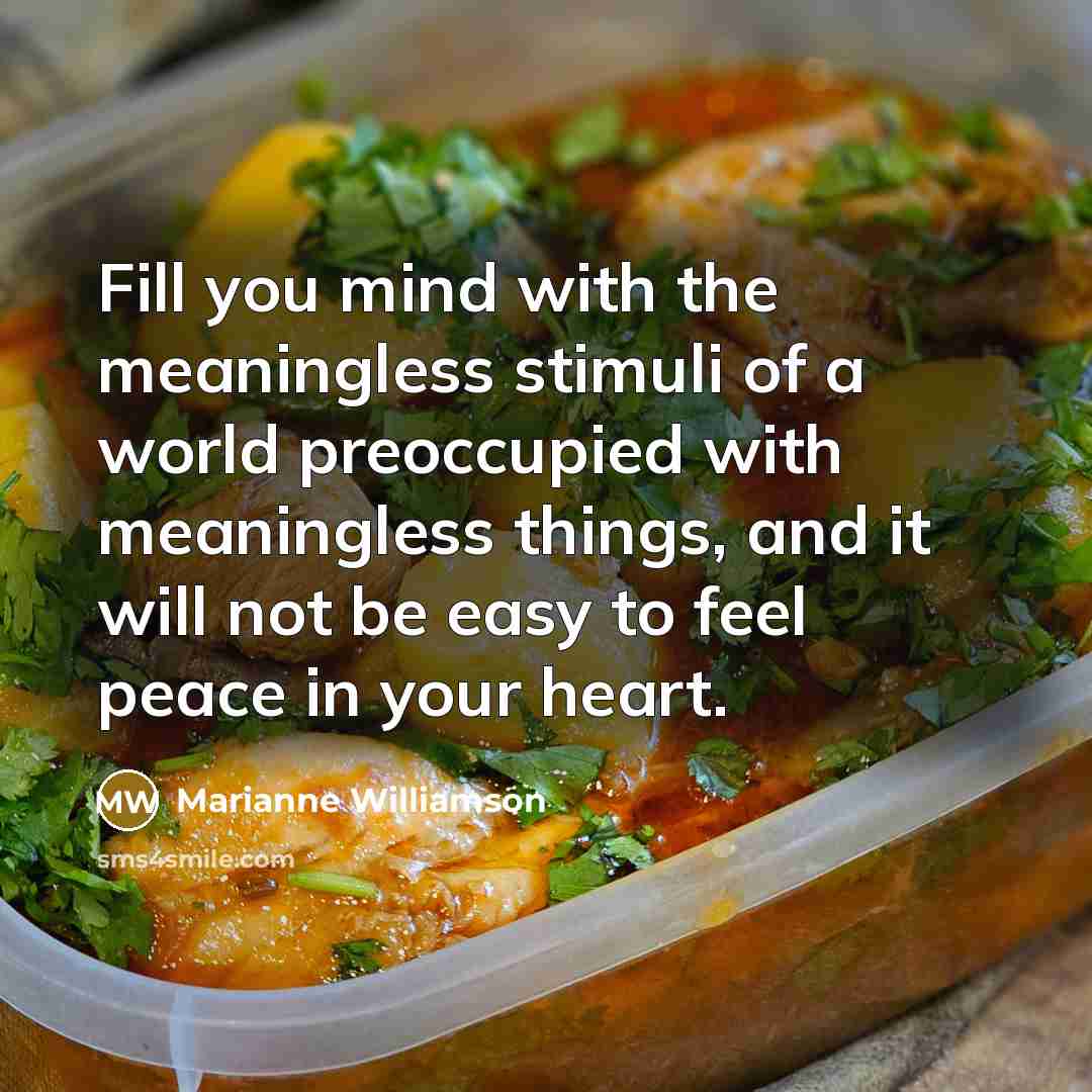 “Fill you mind with the meaningless stimuli of a world…” quote by Marianne Williamson