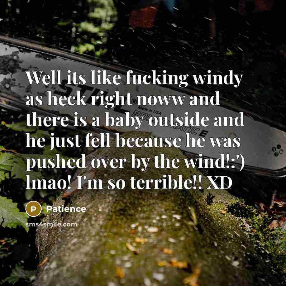 “Well its like fucking windy as heck right noww and…” quote by Patience