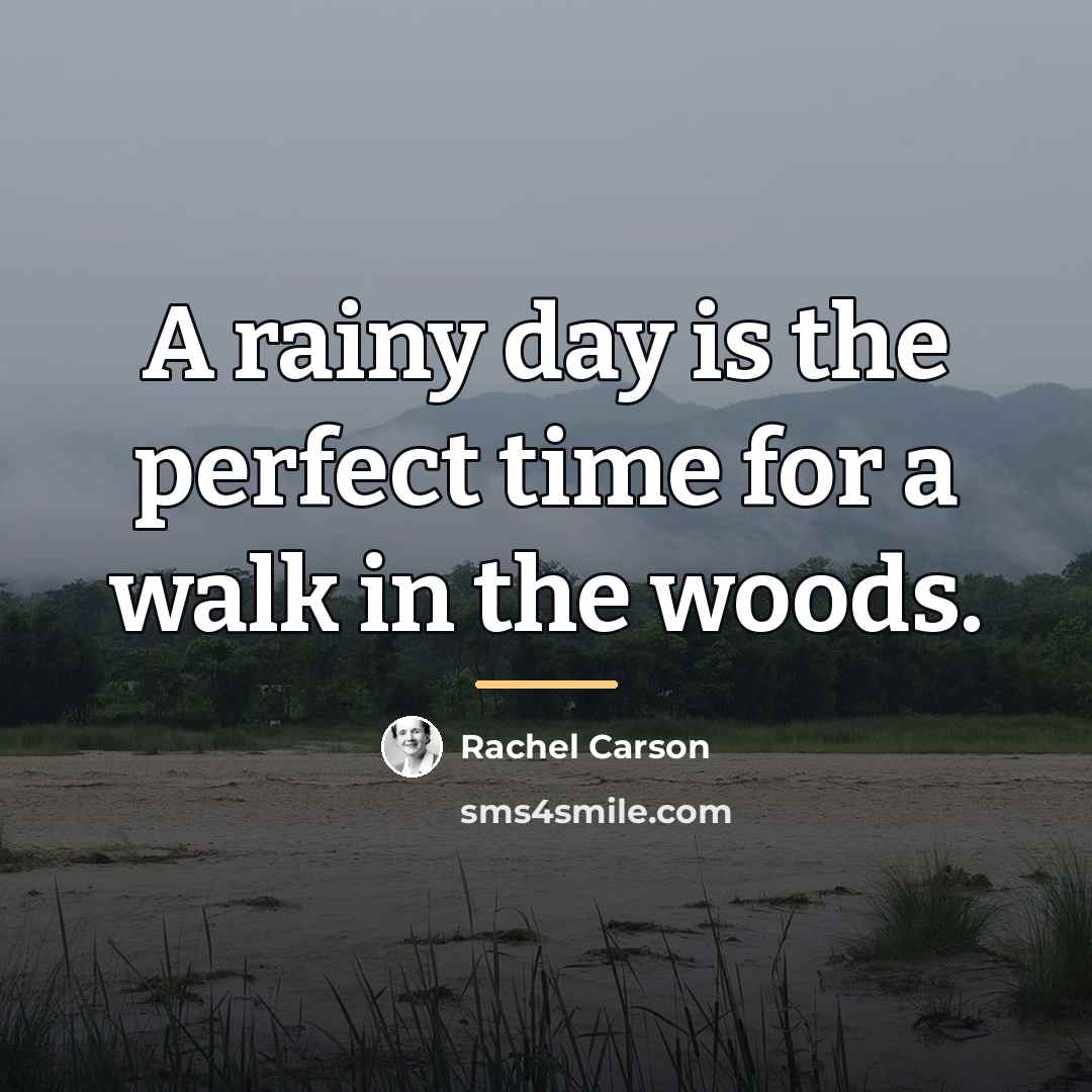 “A rainy day is the perfect time for a walk…” quote by Rachel Carson