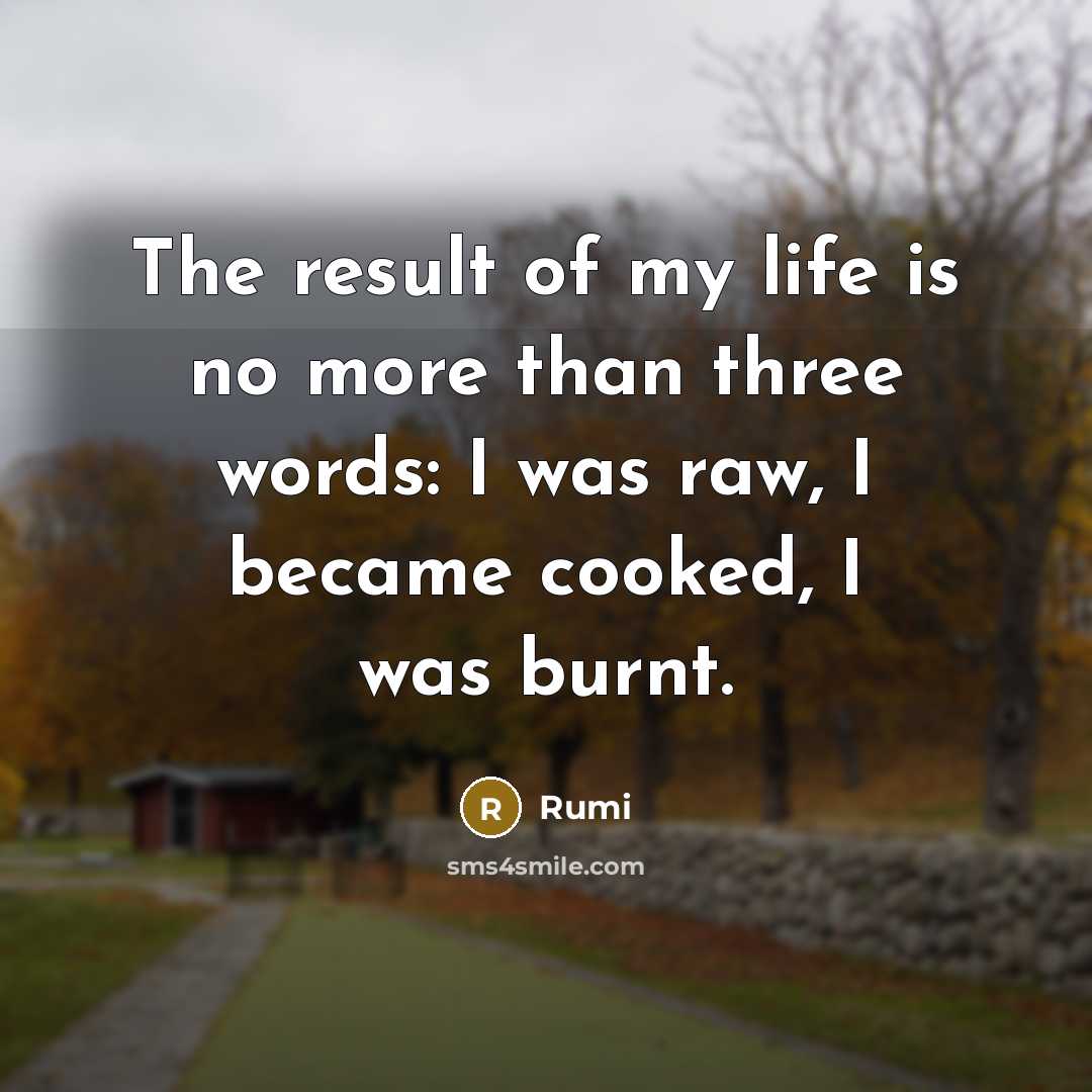 “The result of my life is no more than three words: I was raw, I became cooked, I was burnt.” quote by Rumi