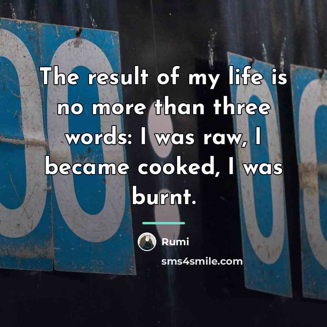 “The result of my life is no more than three…” quote by Rumi