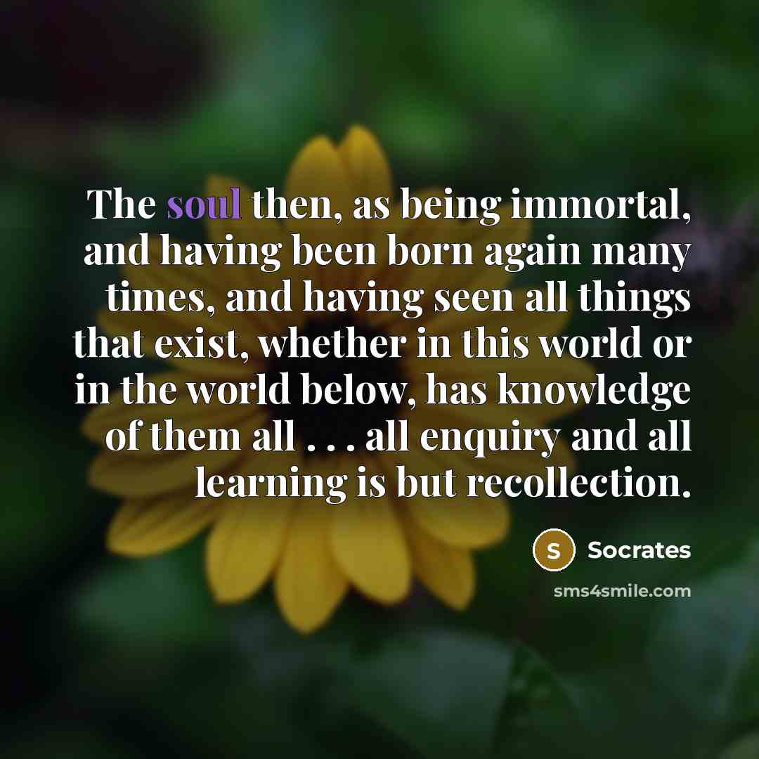 “The soul then, as being immortal, and having been born…” quote by Socrates