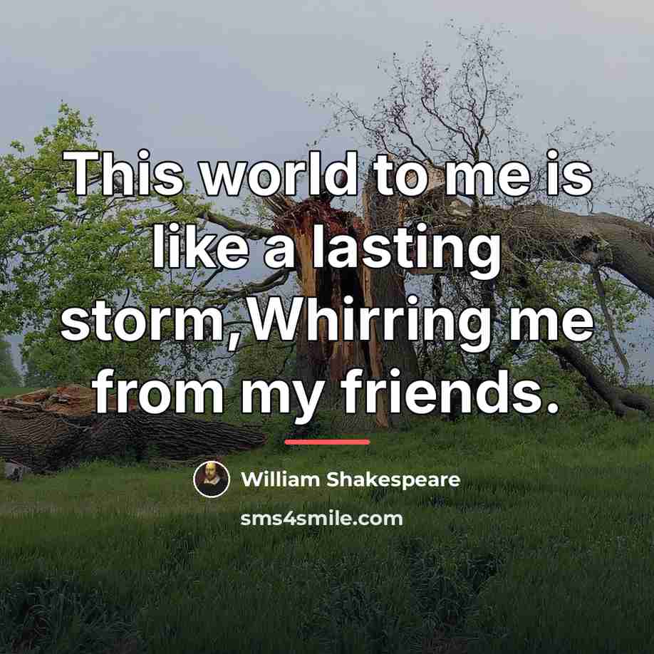 “This world to me is like a lasting storm,Whirring me…” quote by William Shakespeare