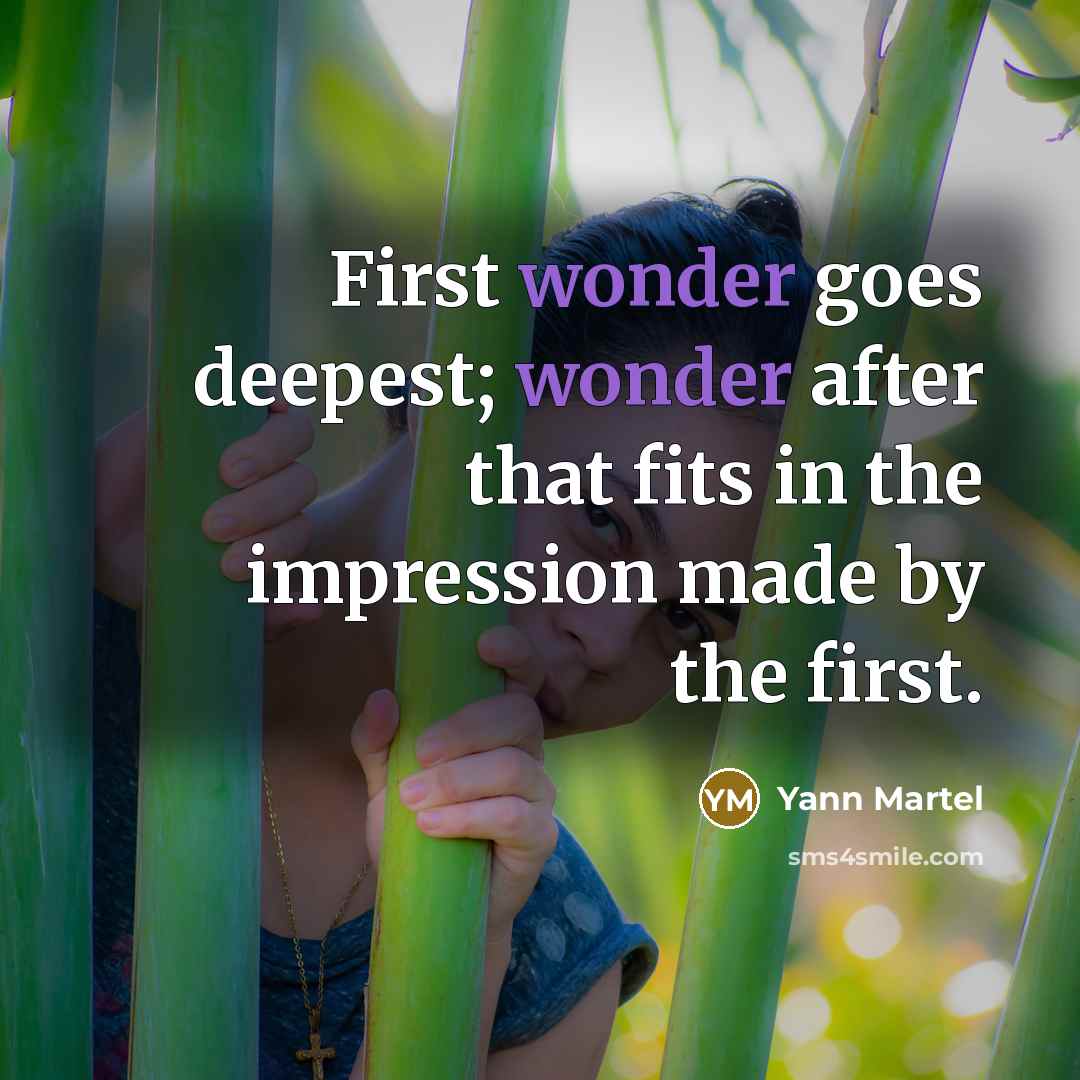 “First wonder goes deepest; wonder after that fits in the…” quote by Yann Martel