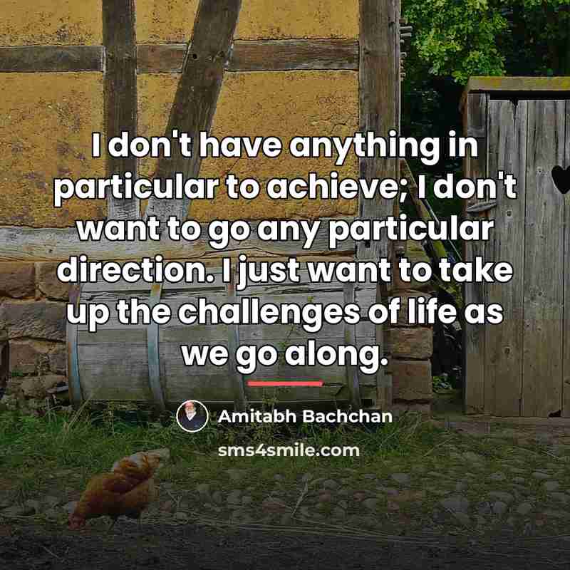 “I don't have anything in particular to achieve; I don't…” quote by Amitabh Bachchan
