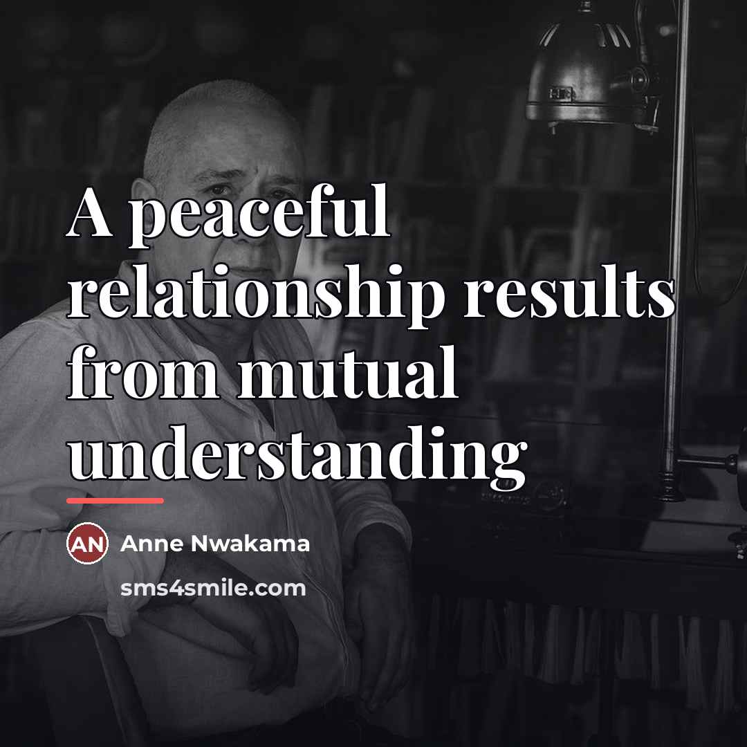 “A peaceful relationship results from mutual understanding…” quote by Anne Nwakama