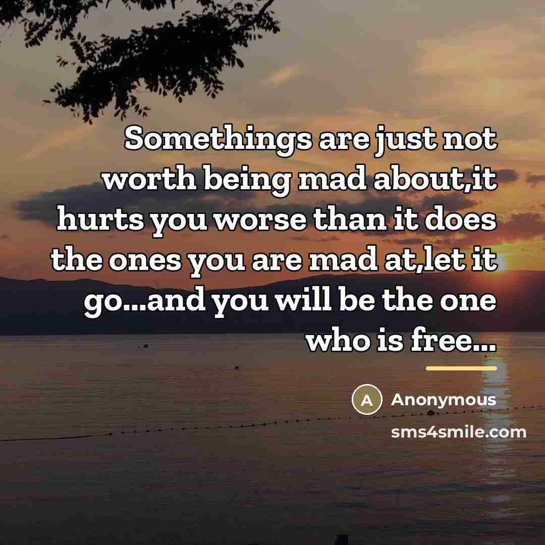 “Somethings are just not worth being mad about,it hurts you…” quote by Anonymous