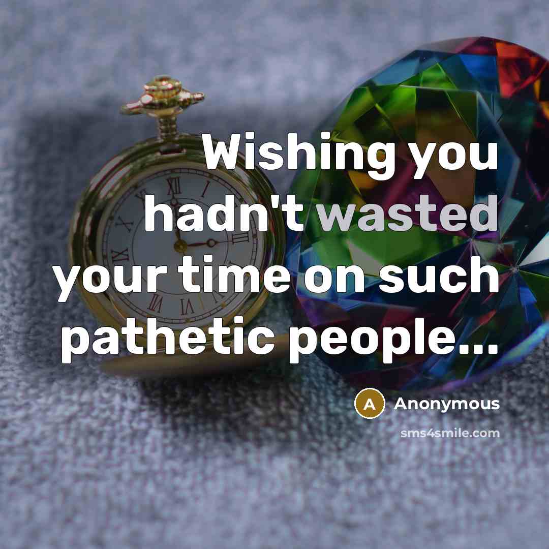 “Wishing you hadn't wasted your time on such pathetic people...” quote by Anonymous