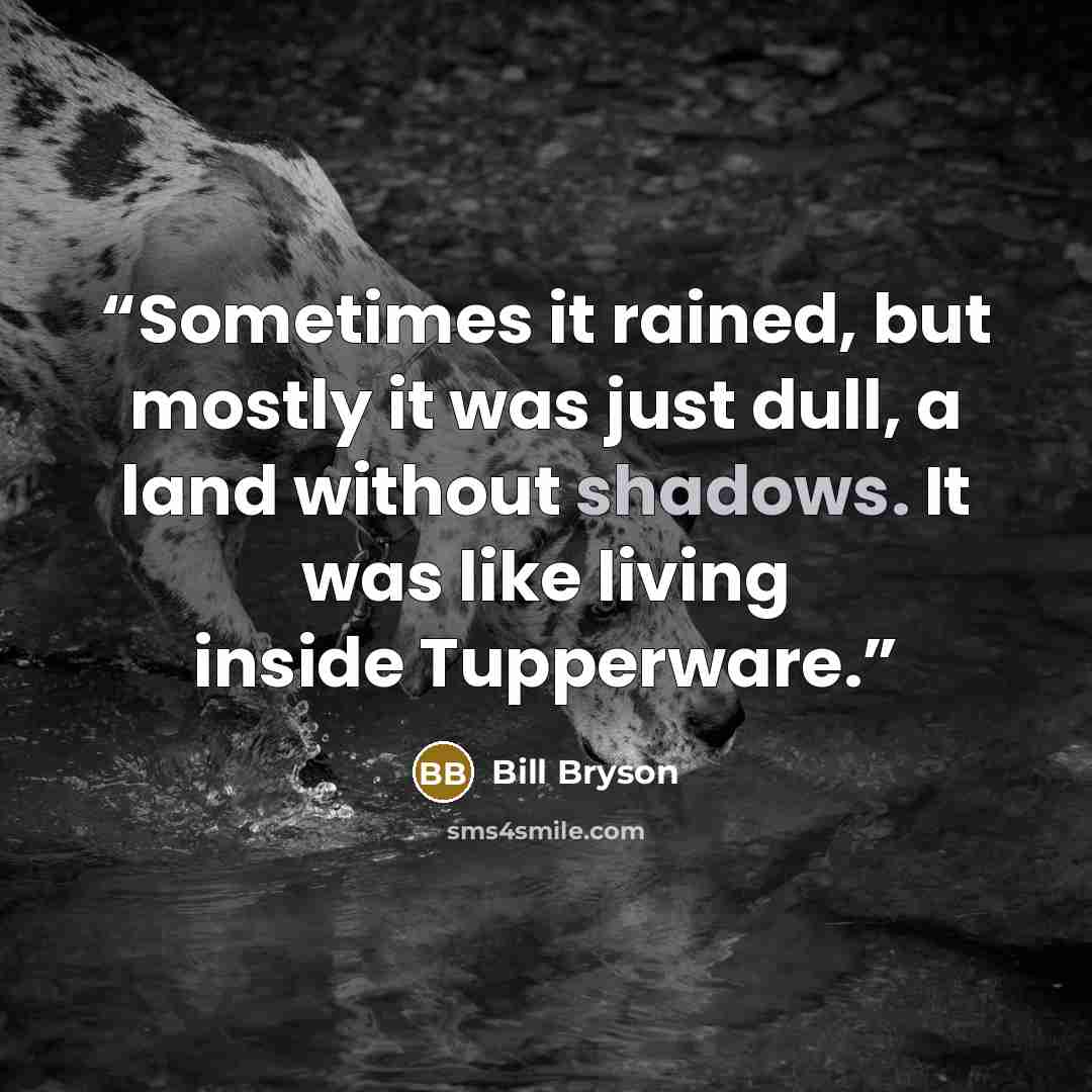 “Sometimes it rained, but mostly it was just dull, a land without shadows. It was like living inside Tupperware.” quote by Bill Bryson