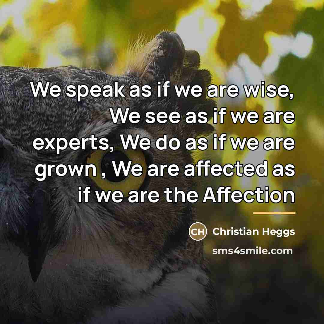 “We speak as if we are wise, We see as…” quote by Christian Heggs