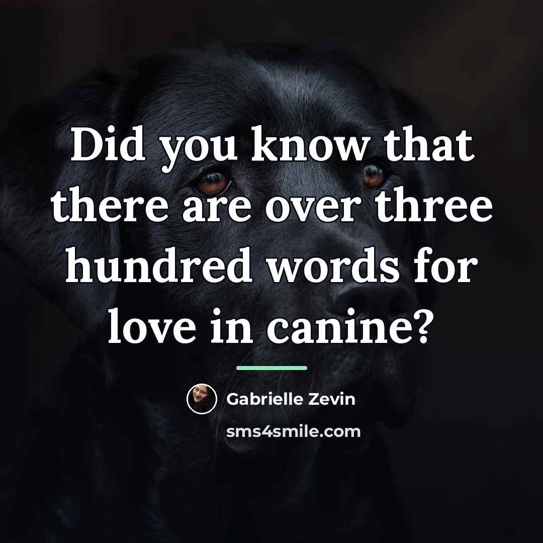 “Did you know that there are over three hundred words…” quote by Gabrielle Zevin