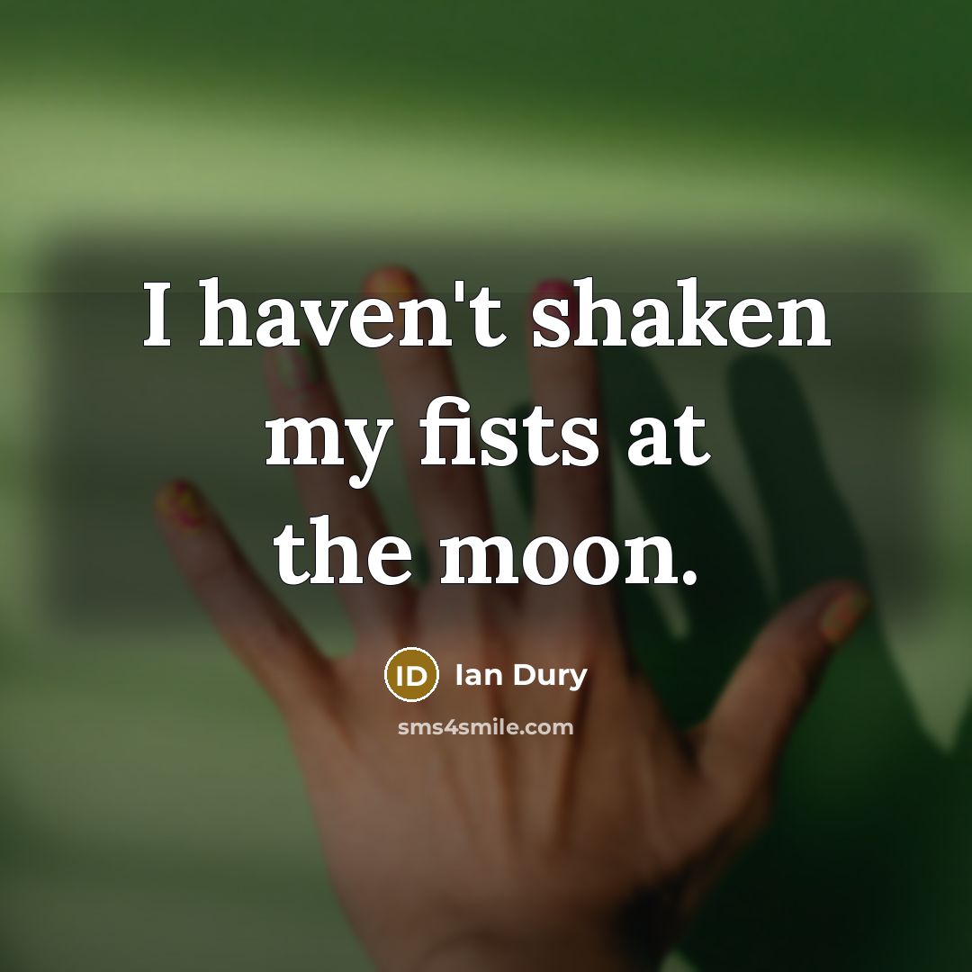 “I haven't shaken my fists at the moon.…” quote by Ian Dury