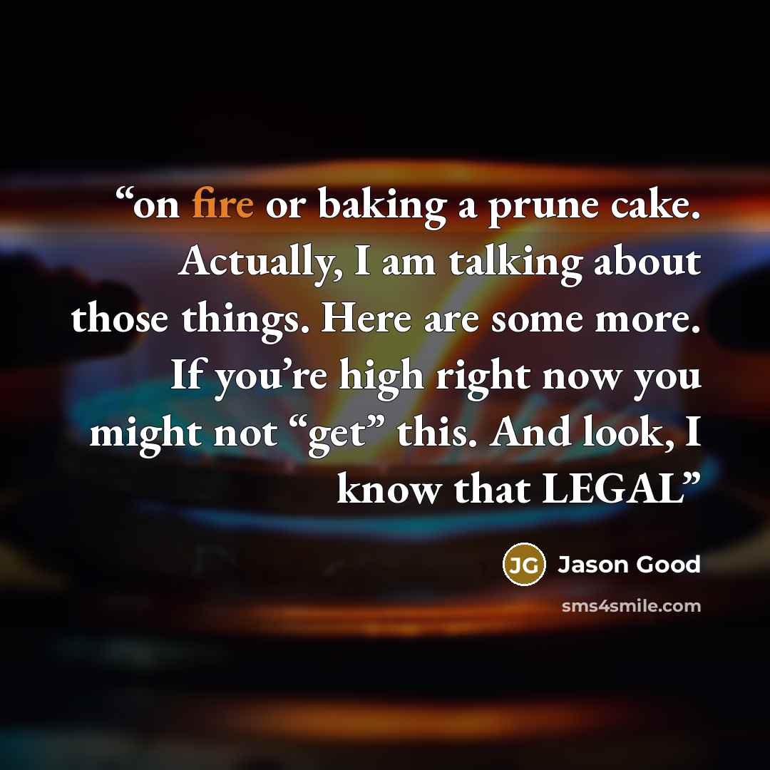 “on fire or baking a prune cake. Actually, I am talking about those things. Here are some more. If you’re high right now you might not “get” this. And look, I know that LEGAL” quote by Jason Good