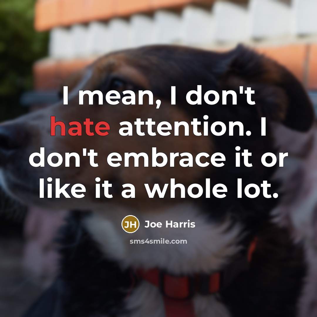 “I mean, I don't hate attention. I don't embrace it…” quote by Joe Harris