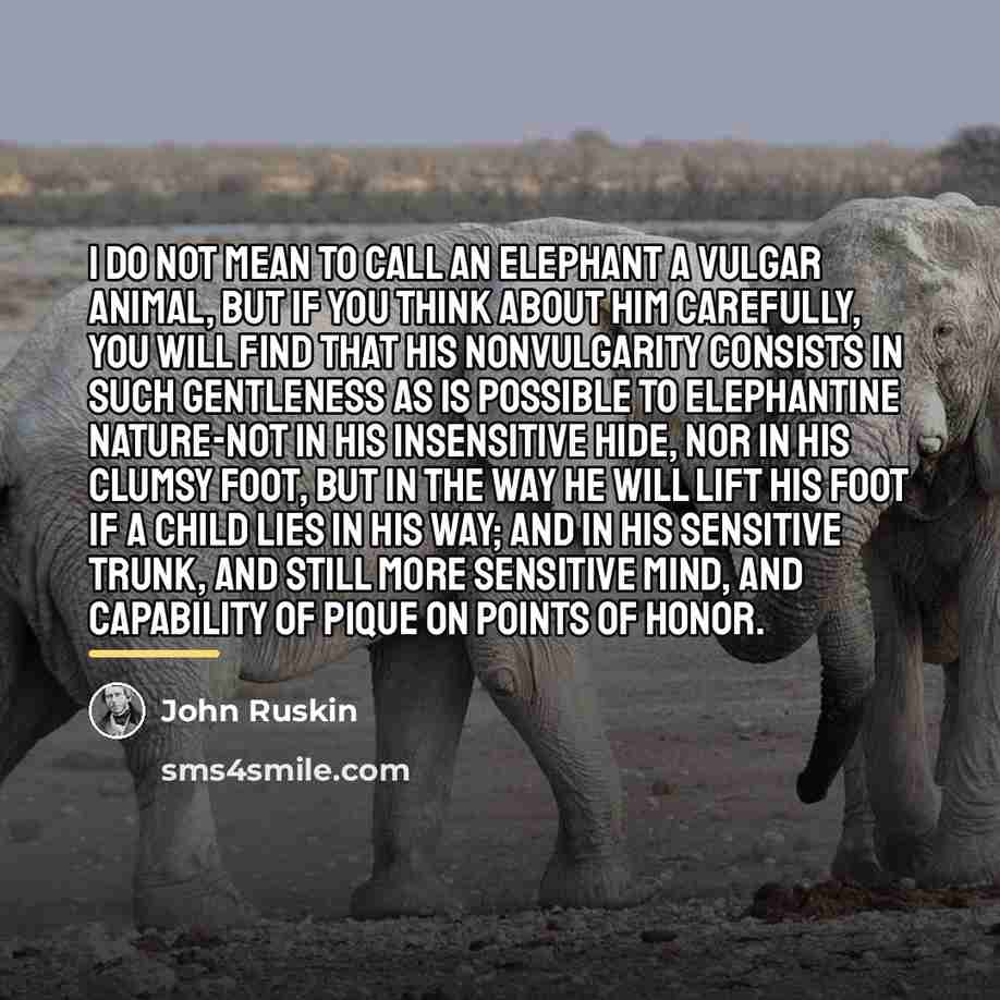 “I do not mean to call an elephant a vulgar…” quote by John Ruskin