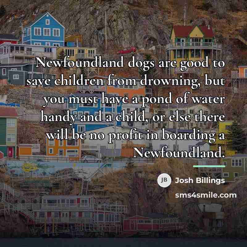 “Newfoundland dogs are good to save children from drowning, but…” quote by Josh Billings