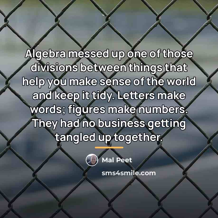 “Algebra messed up one of those divisions between things that…” quote by Mal Peet