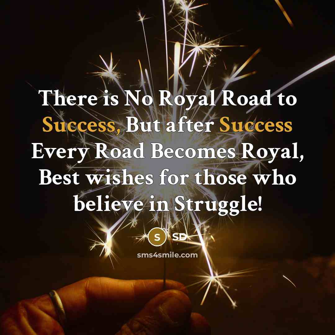 “There is No Royal Road to Success, But after Success Every Road Becomes Royal, Best wishes for those who believe in Struggle!” quote by Sd