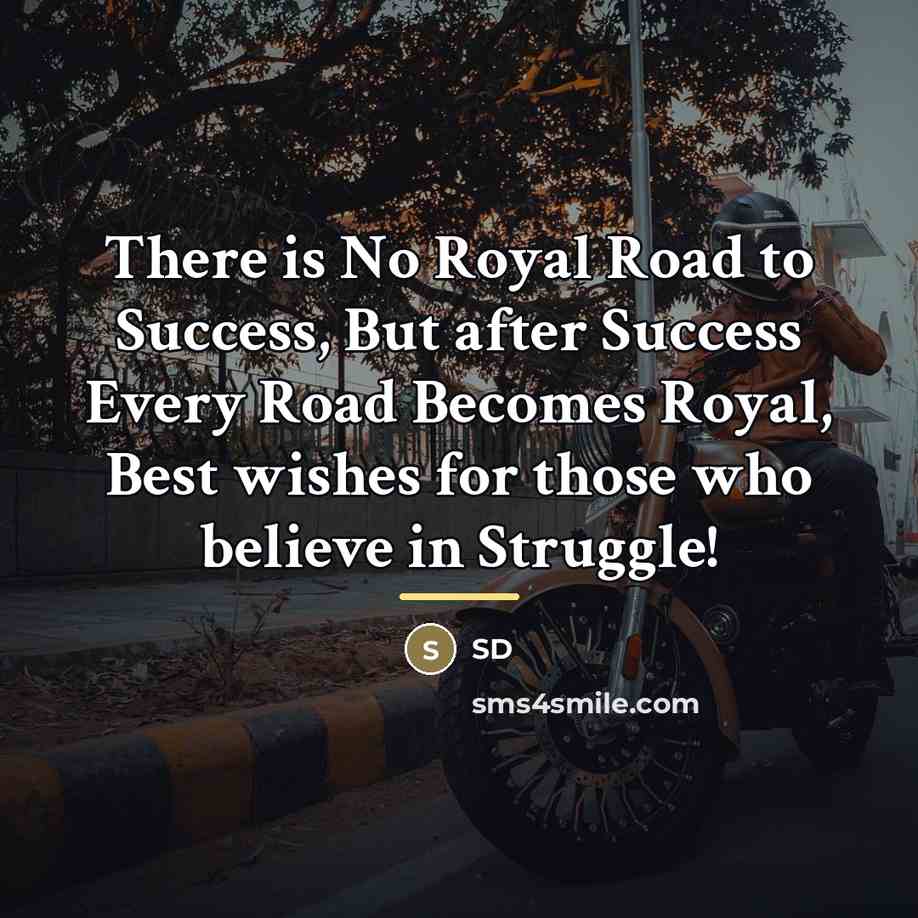 “There is No Royal Road to Success, But after Success…” quote by Sd