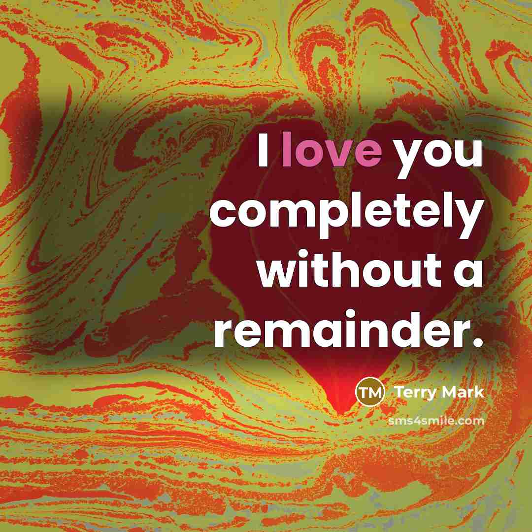 “I love you completely without a remainder.” quote by Terry Mark