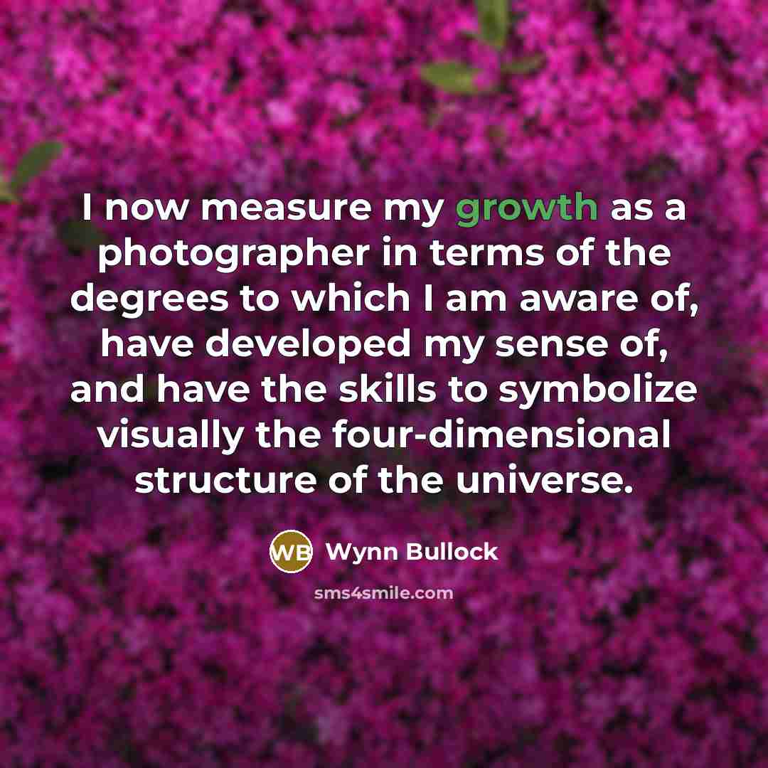 “I now measure my growth as a photographer in terms…” quote by Wynn Bullock